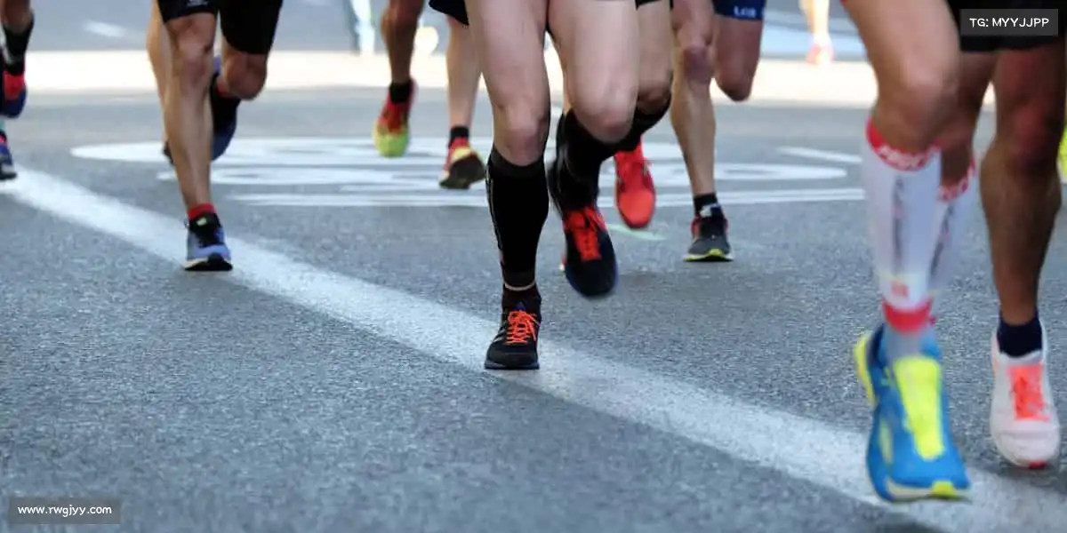 行业领先的理由